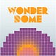 The Wonder Dome 