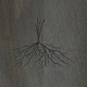elements of