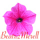 Beatriz’s Substack