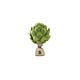 Capital Artichoke