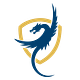 BlueDragon Insights
