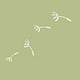 Highland Quietlife's Substack