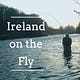 Ireland on the Fly