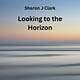 Looking to the horizon