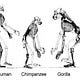 Maybe We Evolved Wrong