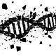 Decoding Biology by Evan Peikon
