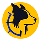 Border Collie Compass