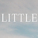 The Little Things Life