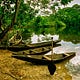 fOCUS Amazônia