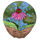 Following Plants