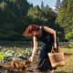 Dishin’ It Up, with Michele Anna Jordan 