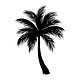 The Palmetto