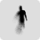 Echolocations