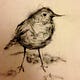 On painting, poetry & wonder 