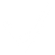 Project VAIL