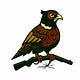 End Bird Shooting