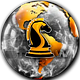 Cobra’s Substack