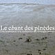 Le chant des pinèdes
