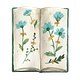 Field Notes