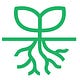 ROOTSCAMP