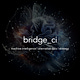 bridge_ci