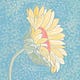 Wild FloweRebellion