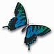 Reflections from Transformative Spirit