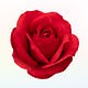 Rose Motherhood Women's Circle 🌹