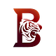 Budget Tiger