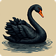 Black Swan Hunting