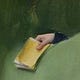 notes from a reluctant optimist