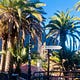 The Culture and Travel Report