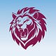 Aston Villa Review