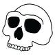 We Are Hominids