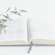 Tending Your Soul