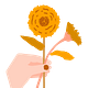 Calendula Magazine