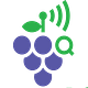 VineIQ