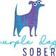 Purple Dog Sober Substack