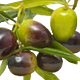 Pass the Olives