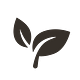 REWILD