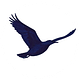 Casa das Liberdades