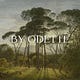 By Odette 