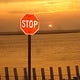 You Have Left the Planned Route | Melissa Firman