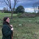 Magpie Tidings