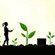 Peace. Security. Sustainability