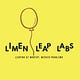 Limen Leap Labs Posts