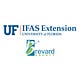 Brevard Extension Current Events