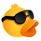 NoPool