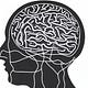 Personal Knowledge Management with SEN