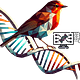 Biotechnology Reviews Journal